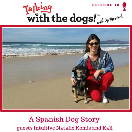 Ep. 18 - Yes. Dogs Communicate In All Languages!