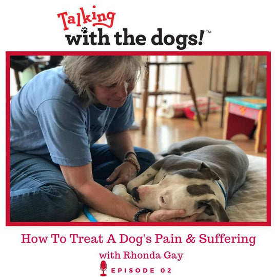 Ep. 02 - How To Treat A Dog's Pain And Suffering