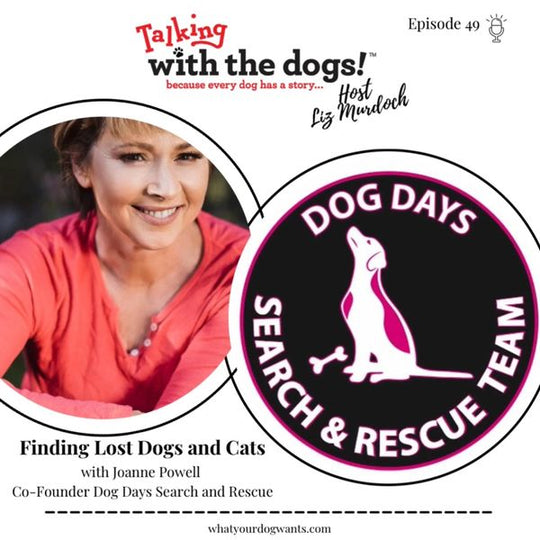 Ep. 48 - Search and Rescue for Lost and Abandoned Dogs
