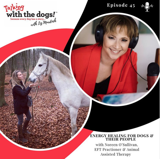 Ep. 45 - Energy Healing for Dogs and Their People