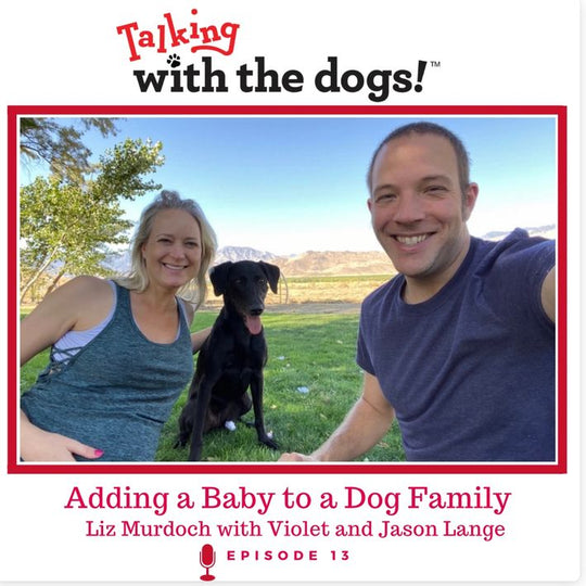 Ep. 13 - Introducing a Baby to the Family Dog