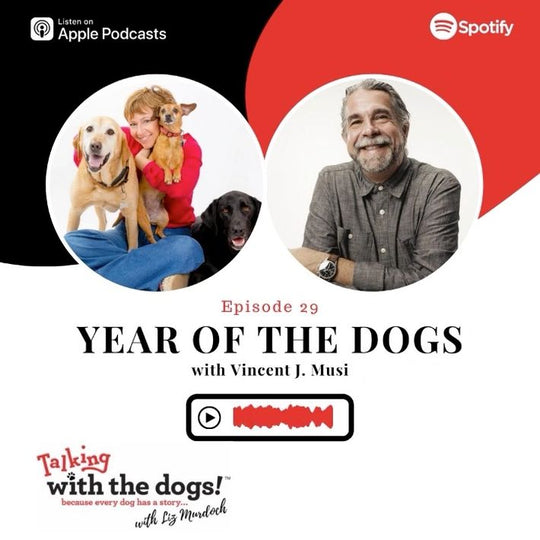 Ep. 29 - The Year Of The Dogs - Secrets Of A Dog Photographer