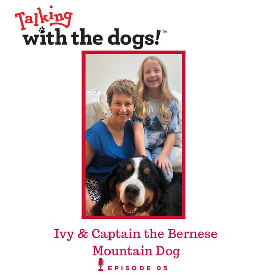 Ep. 05 - Ivy and Captain the Bernese Mountain Dog