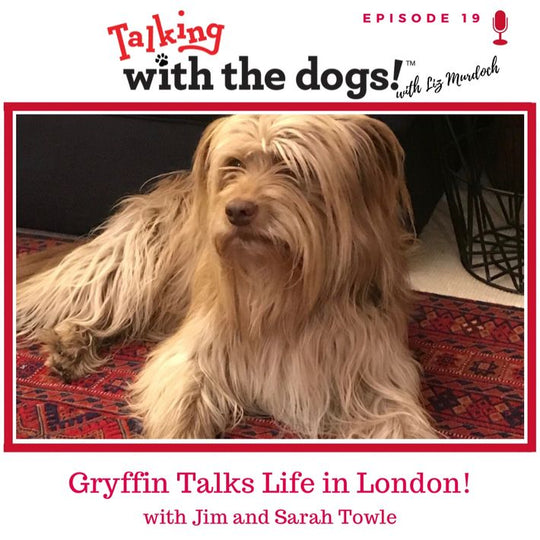 Ep. 19 - Gryffin Talks Life In London