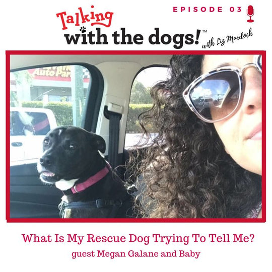 Ep. 03 - What Is My Rescue Dog Trying To Tell Me?