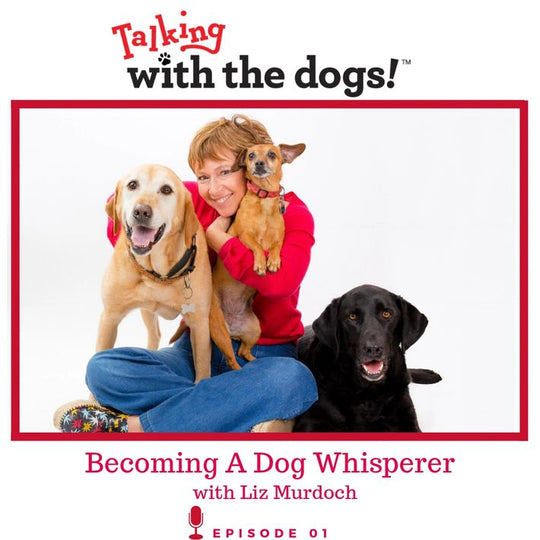 Ep. 01 - Becoming A Dog Whisperer