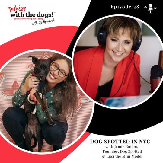 Ep. 38 - What Does A NYC Dog Have to Say?