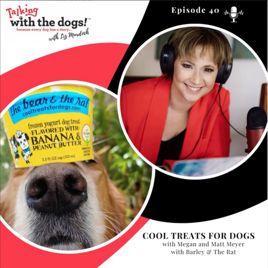 Ep. 40 - Cool Treats for Dogs